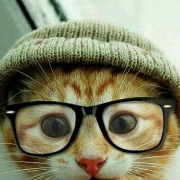 TributoLectors's profile picture. ñaaaaaa