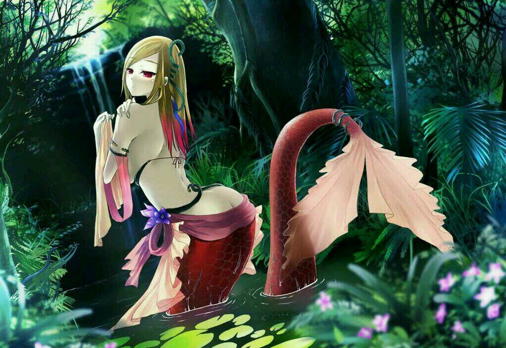 Hello, My name is Athena I guess you can already guess what I am if not I'm a mermaid. Just stay on my good side.