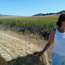 Maite Prada Martin - @MaitePradaMarti - Twitter