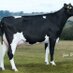 Balmangan Farms (@balmanganfarms) Twitter profile photo
