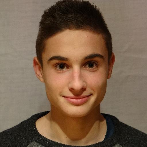 Thibe98's profile picture. football .... kill the patricks :3 ....minercraft player!!..