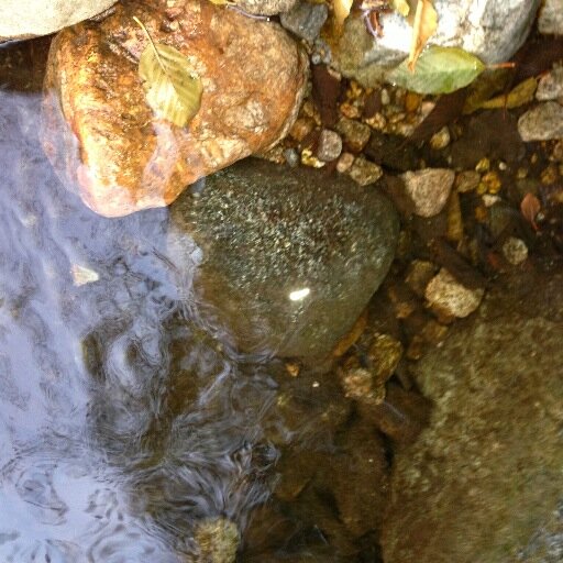 nature, Navi, Puerto vallarta love them all.