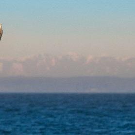 NCondrift's profile picture. http://t.co/RvntKqEmo2 on drift