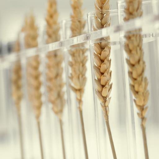 RegulatoryCan's profile picture. 