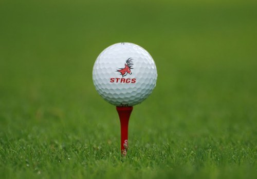 StagsGolf's profile picture. 