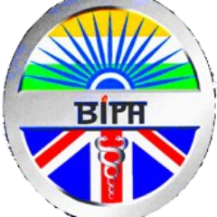 bipa_uk Profile Picture
