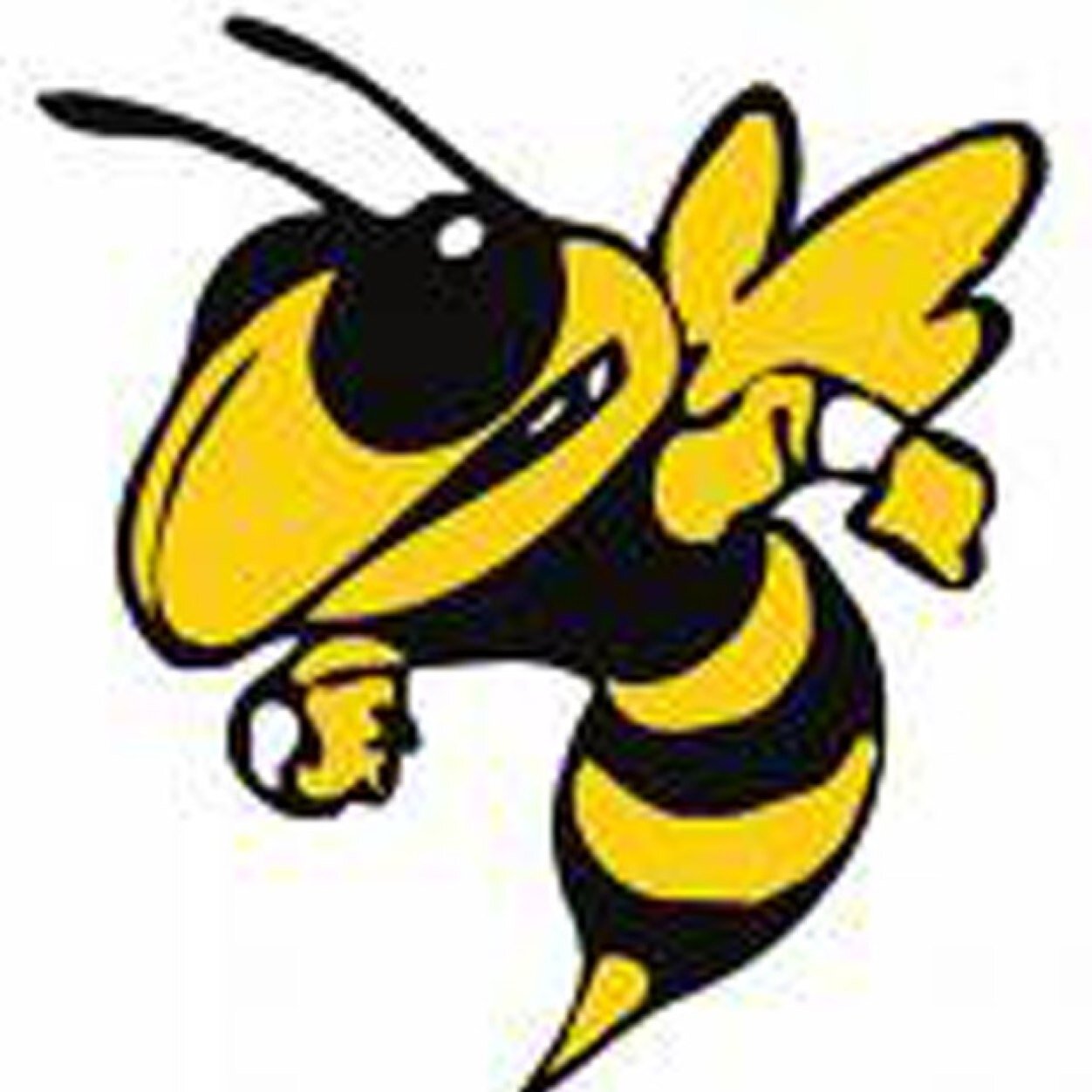 EHSfp's profile picture. This is the twitter for all updates pertaining to EHS fastptich ⚾️