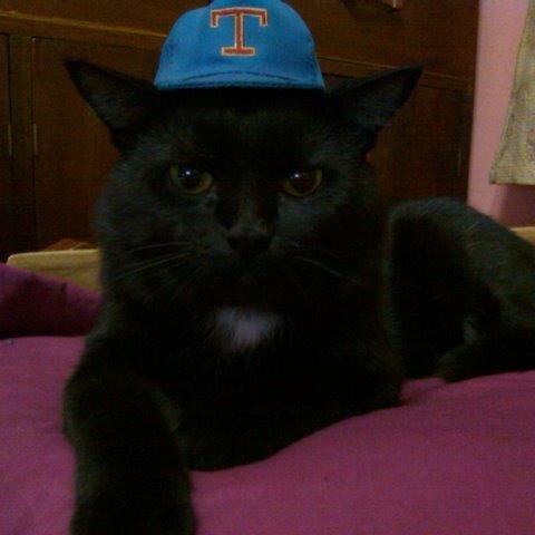 ★☛ Cats school you ☚☮☛ Dogs fool you ☚★ #FireFactor ➤ #GoodVibeTribe ☢ #FFUOD #TaTtT #MTOD ✵ #iTITs ✌ Only #TUNA can DM me!! Are you Tuna !?