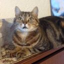 Patrick Bachmann - @patrickbluewin - Twitter