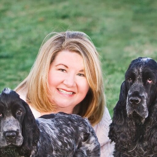 Founder, Center for Pet Safety.  Giving a voice to the pet product consumer - and writing the standards to guide the industry.