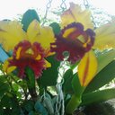 Ana Imelda Molina - @AnaImeldaMolina - Twitter