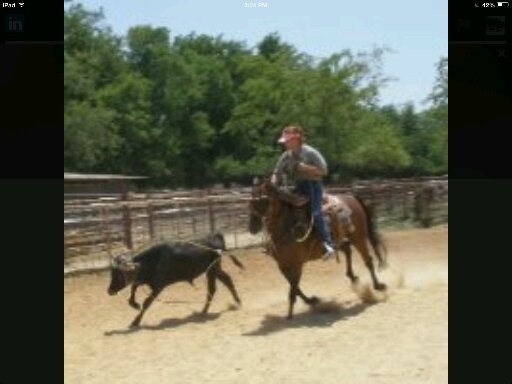 KayHayes20's profile picture. 