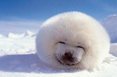 iyyang207's profile picture. 