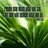 dragonfly7272's profile image