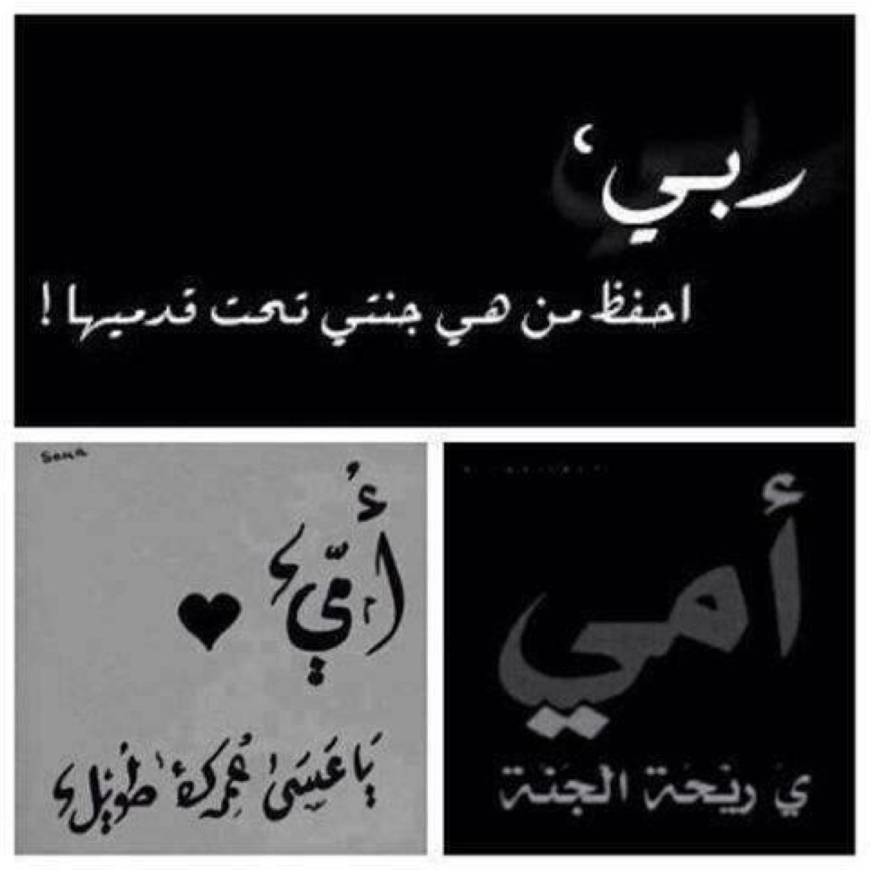 هذا الحساب ‏جعلته لها وهي حيه ترزق ليكون فرجاً لها في دنياها وزاد لها في اخرتها ربي اجعل كل حرف صدقه جاريه في حسناتها إلى يوم يبعثون ..♥♥ @xcvnm100