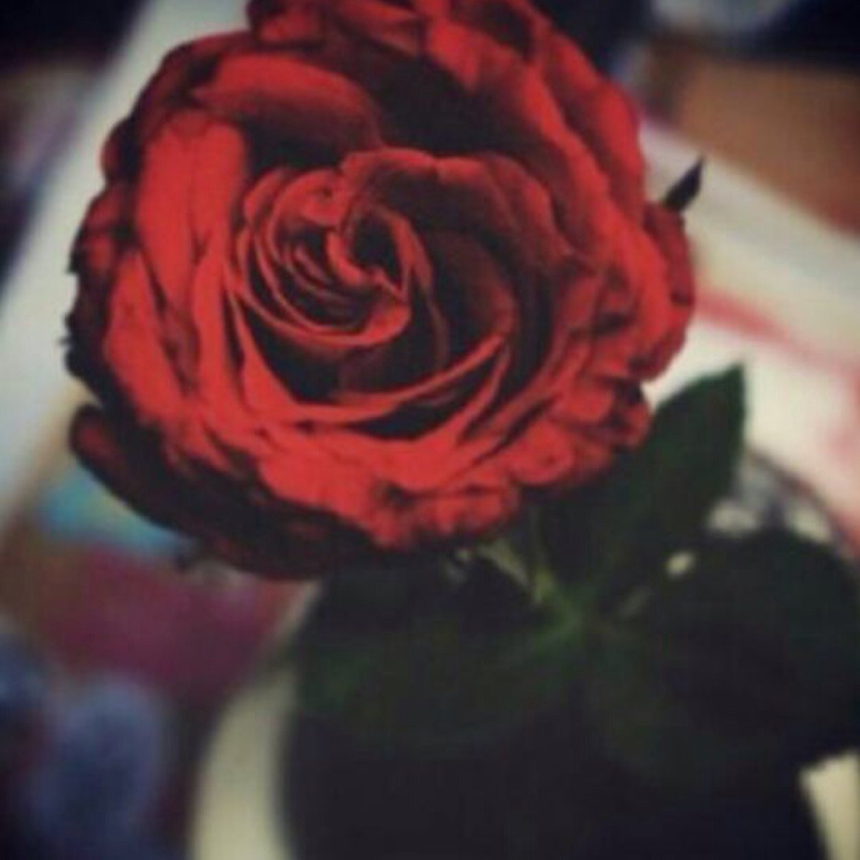 zamatw's profile picture. 