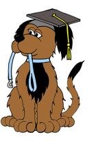 Providing the personal touch to pet care, a range of services include a dog creche, training school, hydrotherapy pool, agility, boarding, grooming & more....