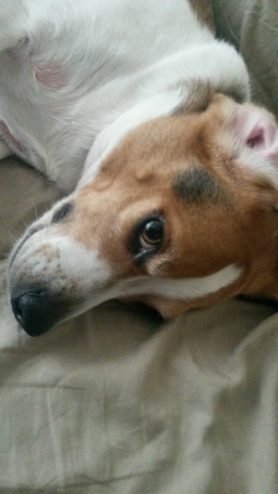 cam0120020012's profile picture. Let's keep it clean, I am square!