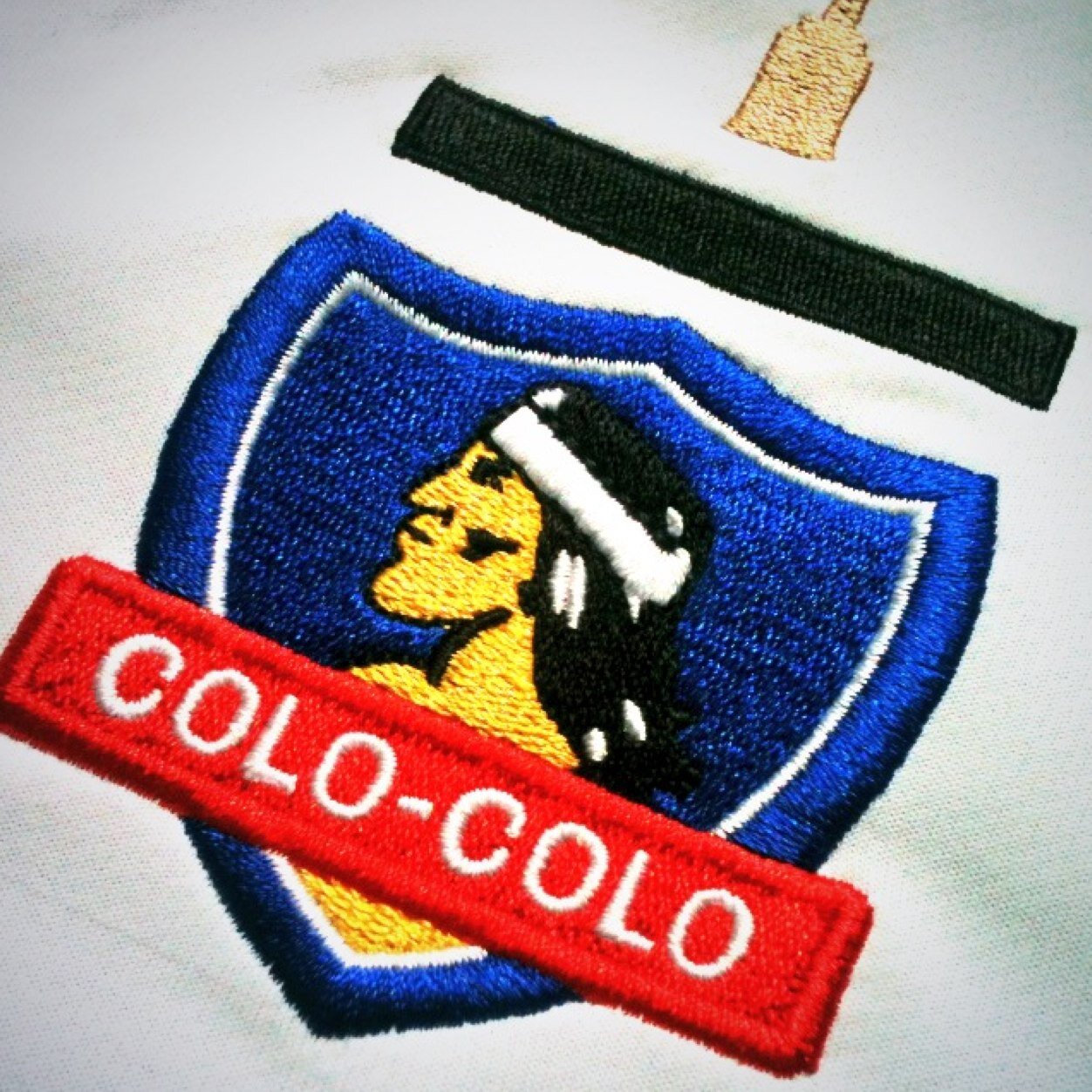 SociosColoColo's profile picture. Cuenta no oficial dedicada a entregar información relevante y responder dudas sobre el Club Social y Deportivo Colo-Colo y sus socios.