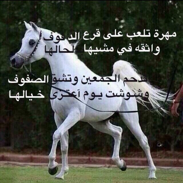 شموخ بدويه Smo301020111 Twitter