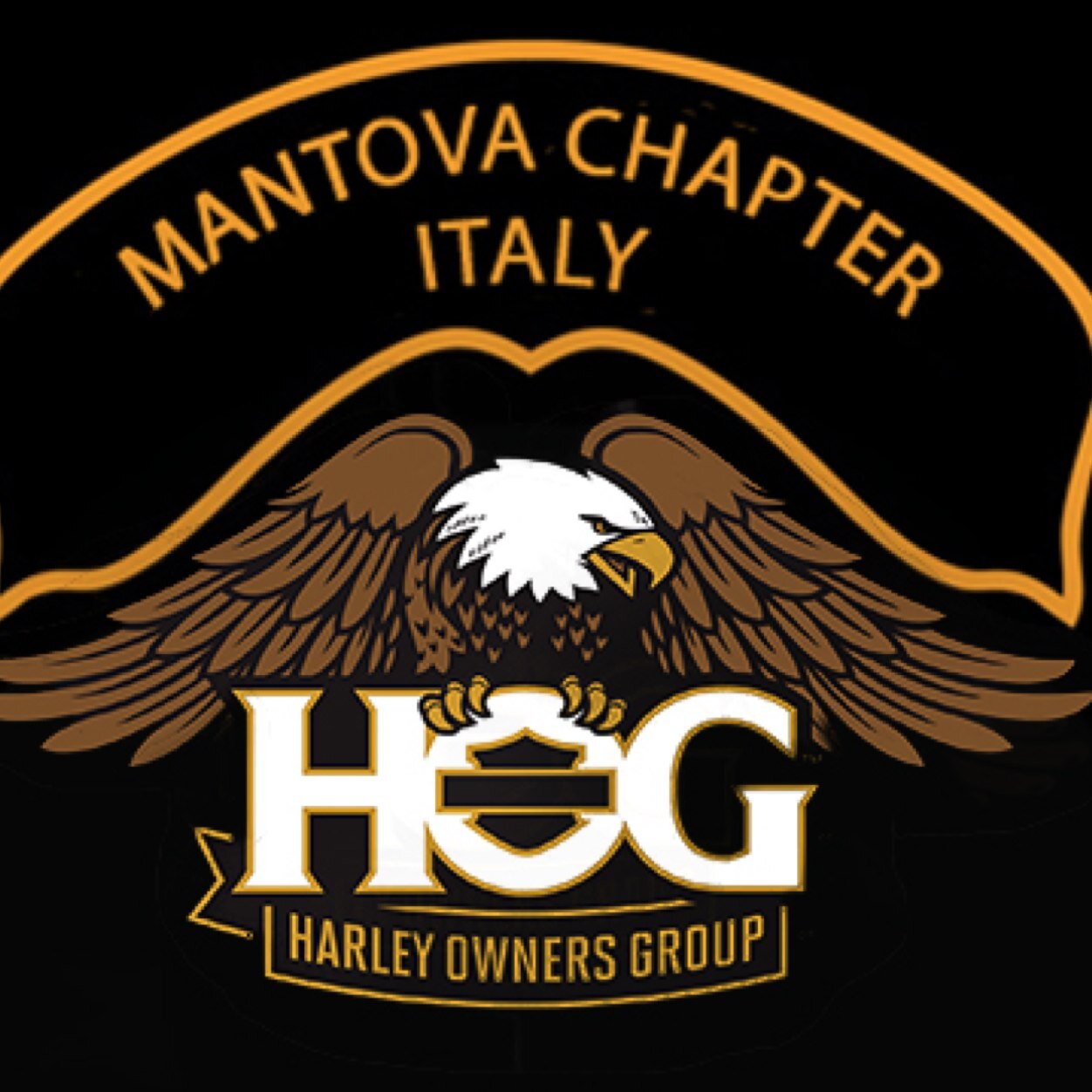 MantovaChapter's profile picture. amiamo le nostre harley davidson