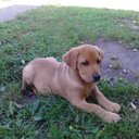 carl hatton - @carlhatton2 - Twitter