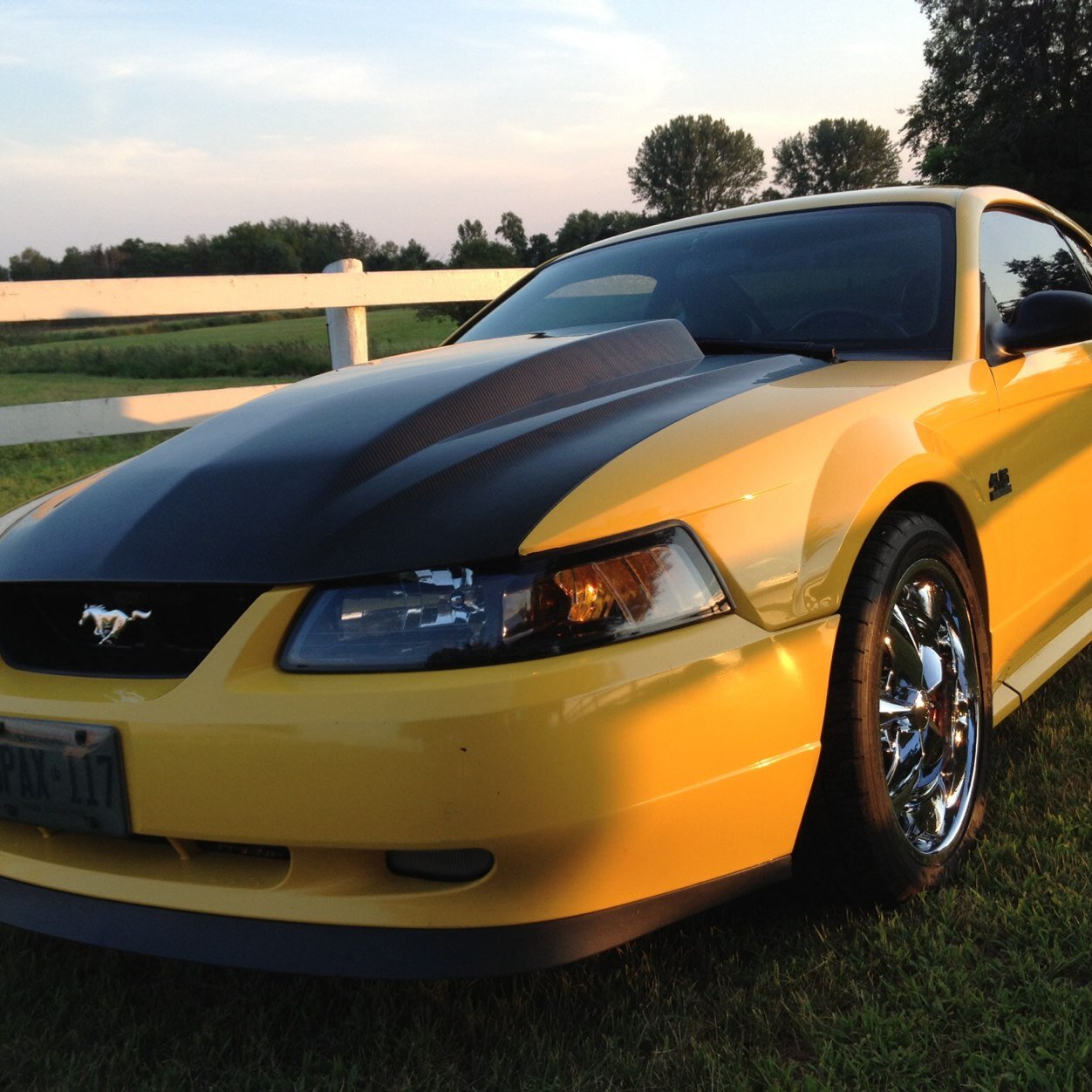 Married, usually happily. Proud father of two sons and (young) grandfather. Mustang & bonsai enthusiast.
