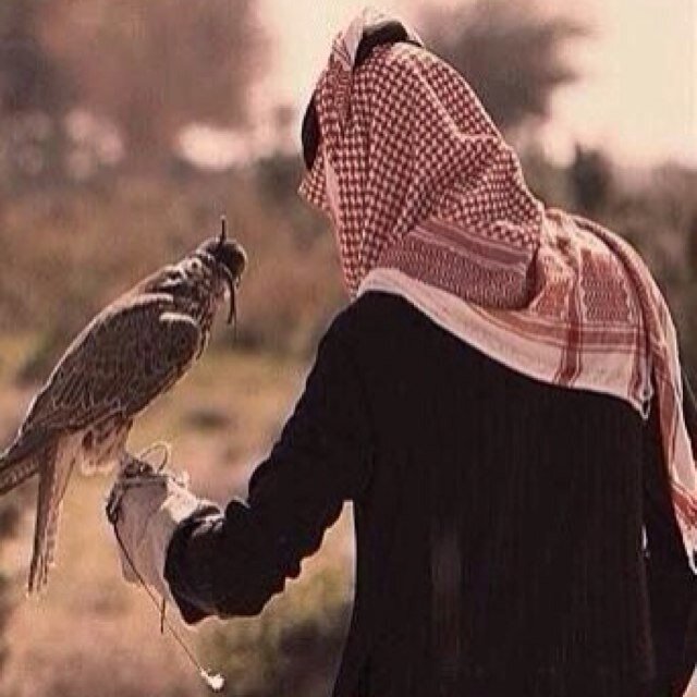 ليسَ من الضروريَ أنّ نكونَ أشخاصًا رسميين كي نمثل الثقافة والأدب ، هيَ فكرْ وليست مظهر أو شخصية.”القناعه كنز لو حلمك كبير أحياه دروس والدنيا عبر