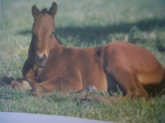 famile67's profile picture. 