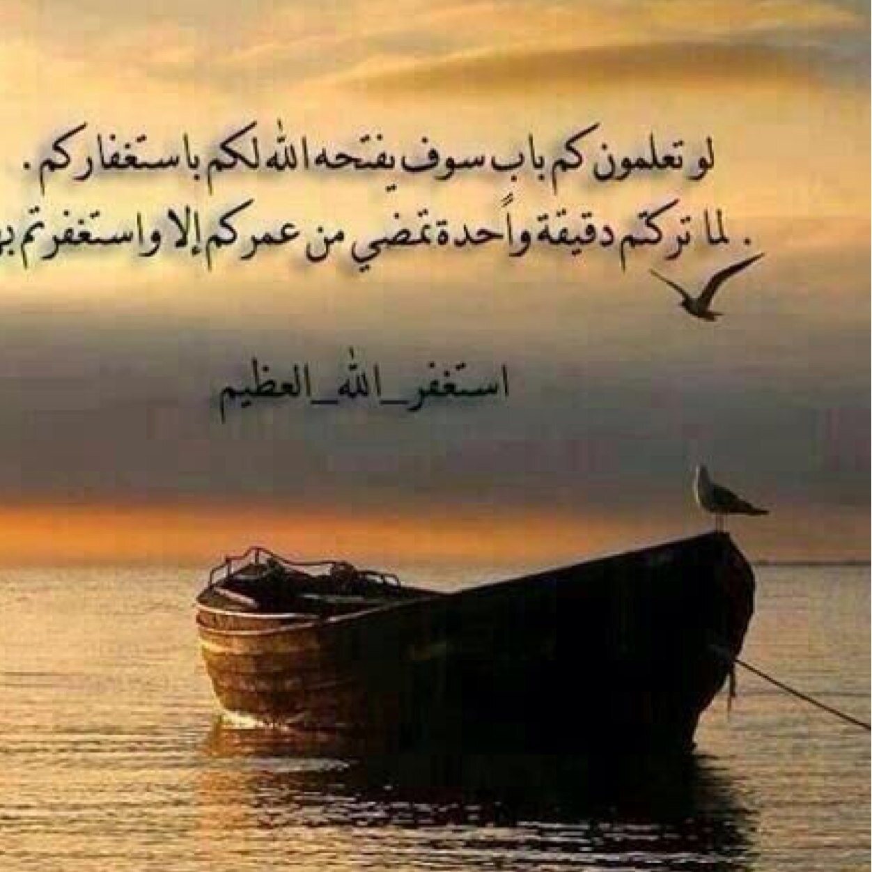 توووته لموووسه