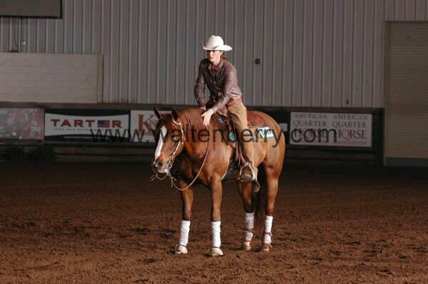 Lin_Zee56's profile picture. All our dreams can come true - if we have the courage to pursue them. #NRHA #AQHA