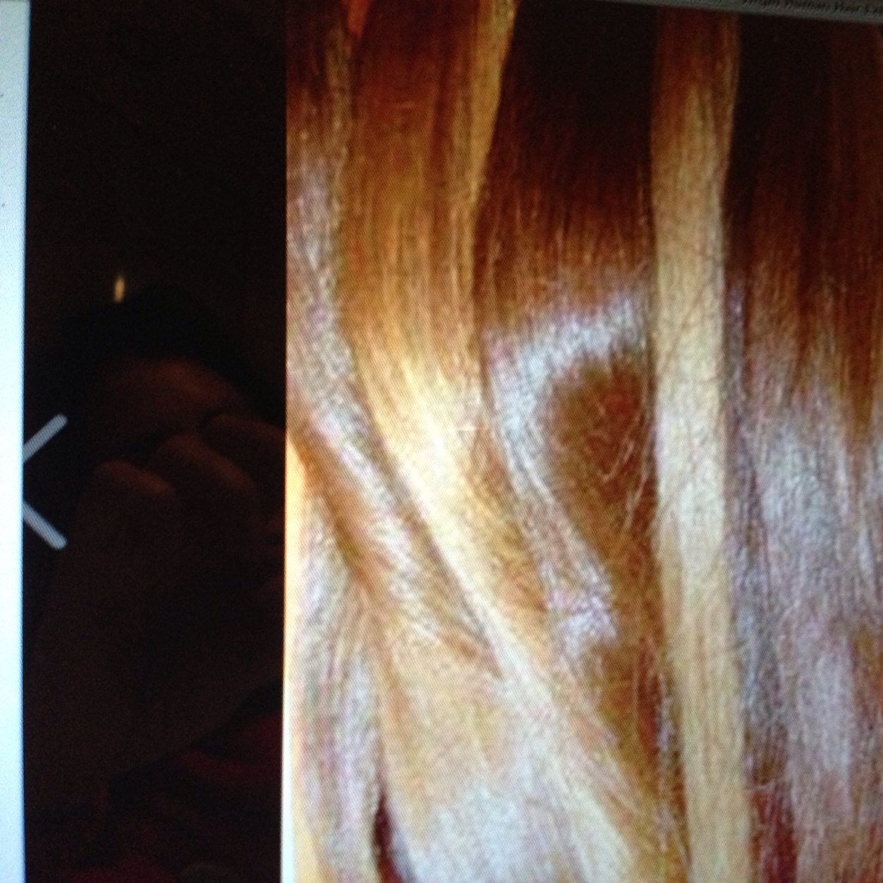 seamlesslengths's profile picture. hair extensions & replacement specialist . hair designer 32 yrs . certified in many companies . for more info 7189868074