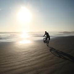 stevil_1's profile picture. ride or die