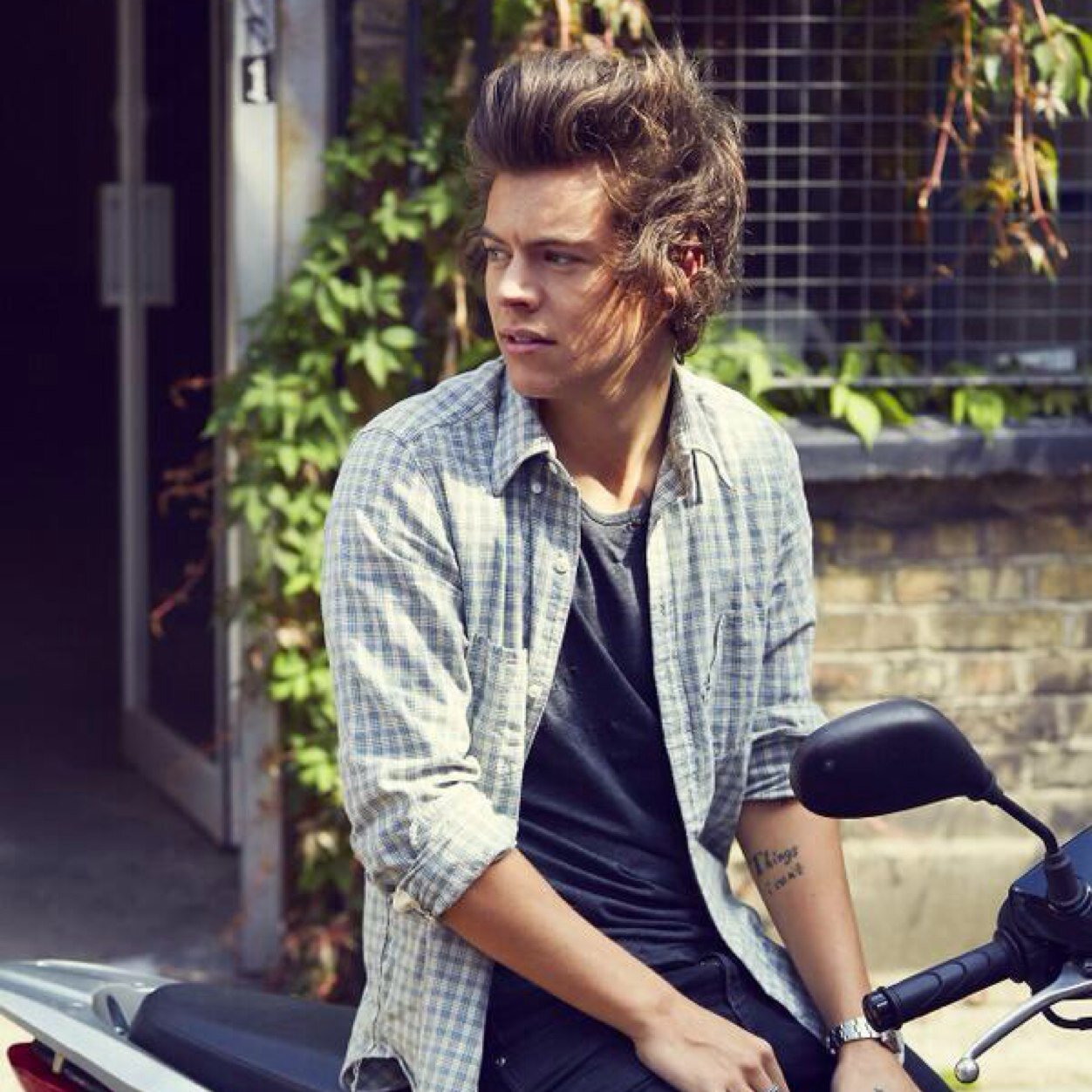 SPICYDICKS's profile picture. lets be honest your fav would double tap that fine piece of ass anyday. @NIALLCOHOLlC