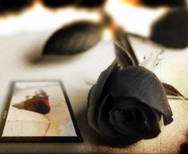 dmo3_alyale Profile Picture