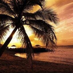 O_229gms's profile picture. Alabanza e Grazie !