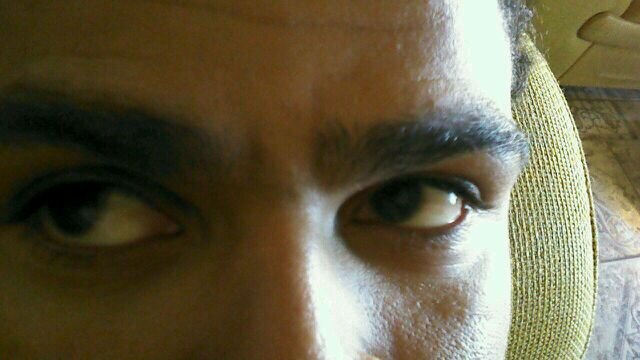 Buscando respostas ..