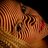 LolyFernandez's profile image