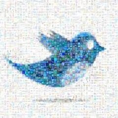 twtnewsfeed's profile picture. Capturing Events as they happen on Twitter. A collection of relevant, material and current News tweets. While we find it, we cannot confirm the veracity here