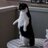 Chopperonslow's profile image