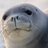 CHarputluoglu's profile image