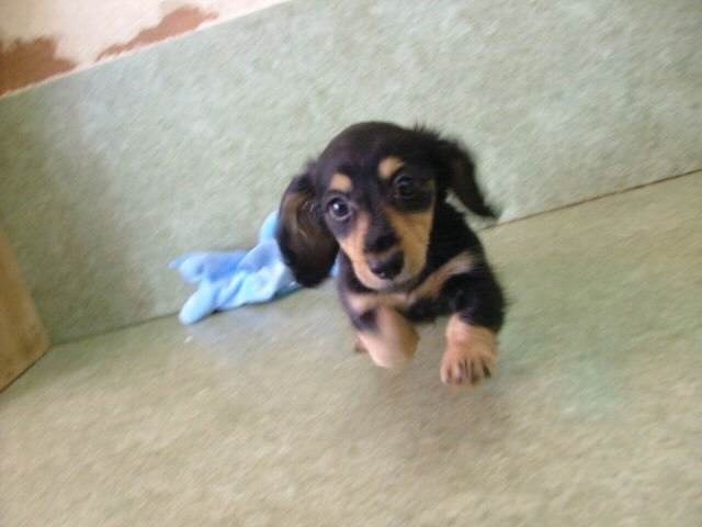 etmsrelroos's profile picture. ビョンホン氏最高！