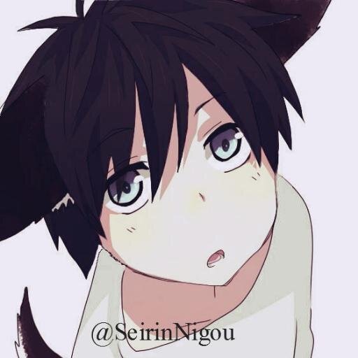 I'm Tetsuya #2 the mascot of Kuroko and of Seirin high | #Gender: Male | #Age: 1 | #Wau!