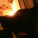 Robin Human - @humanbird219 - Twitter