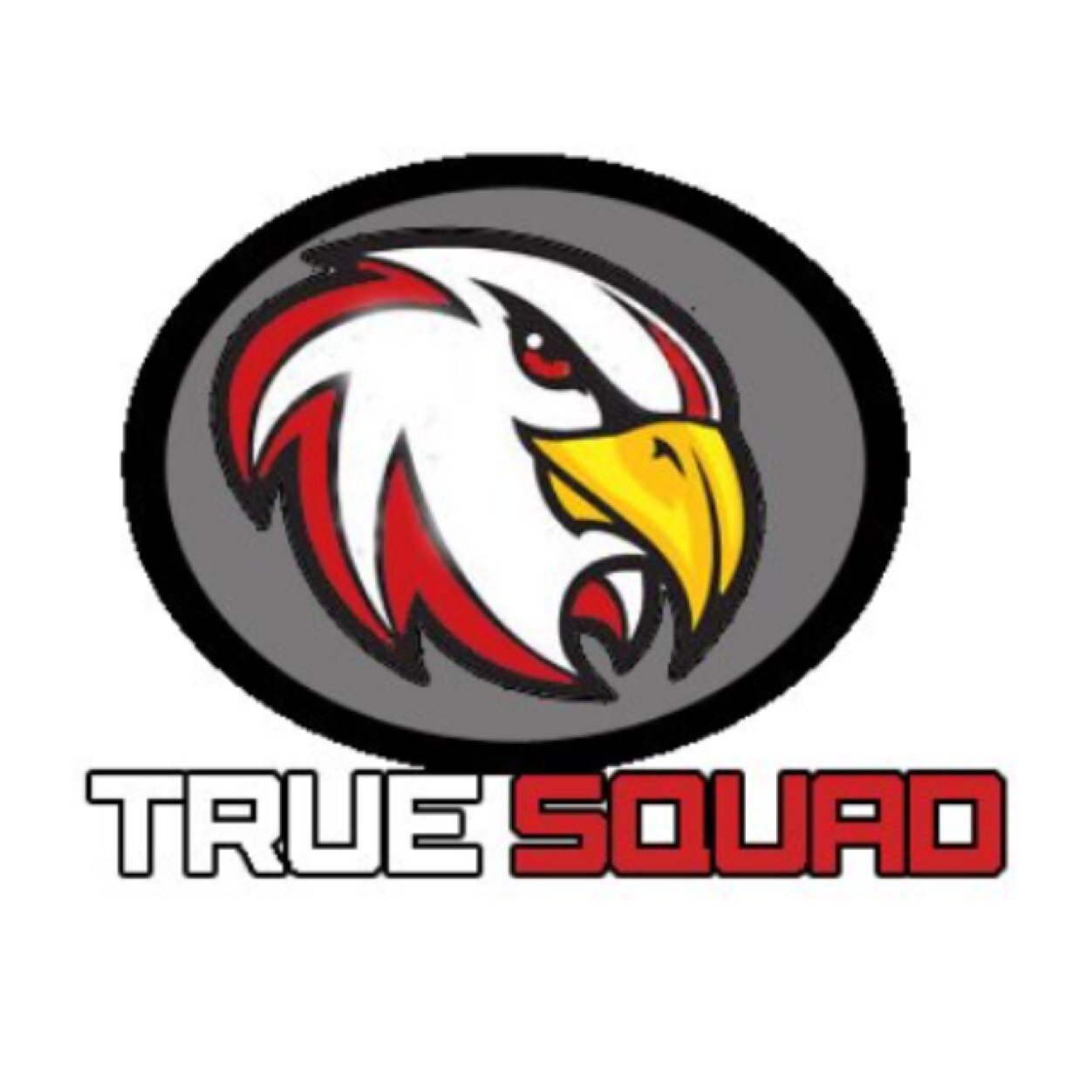 True Squad Gaming , Xbox 360, GB's 5-3 Savage Vibez, Vervint, Cryptic Makles, N/A DM For Scrims, Sponsored by @HulkGfx
