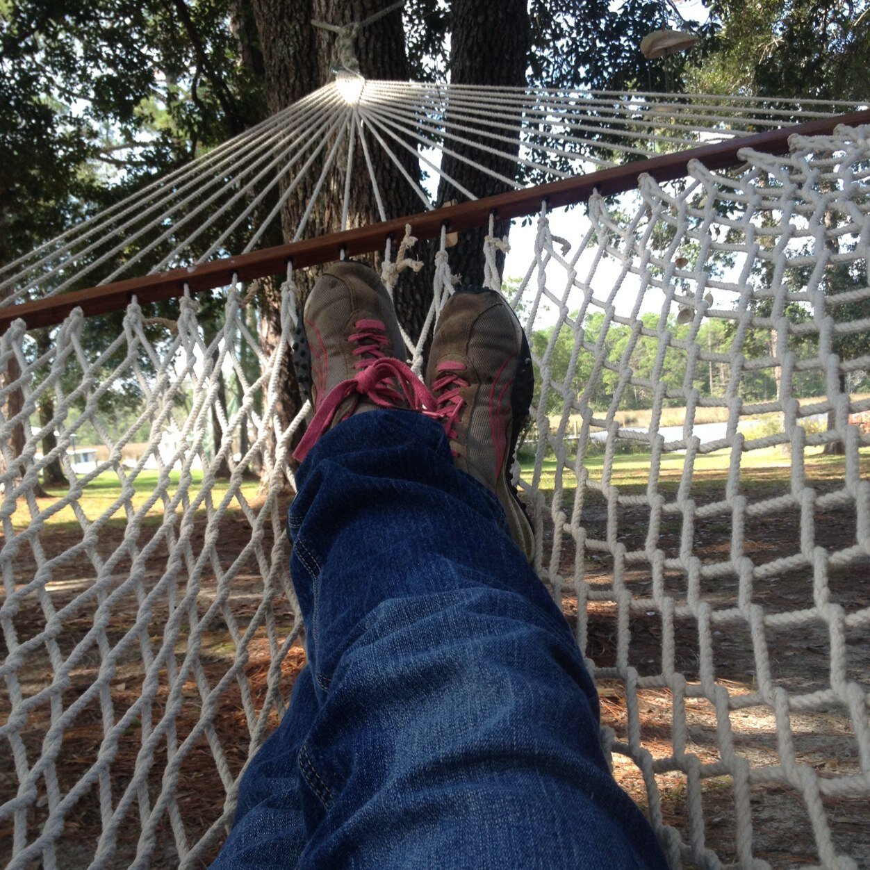 rzcornelius's profile picture. 