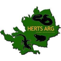 NEW account! Hertfordshires Amphibian and Reptile Group are a group of volunteers dedicated to the conservation and education of British amphibians and reptiles