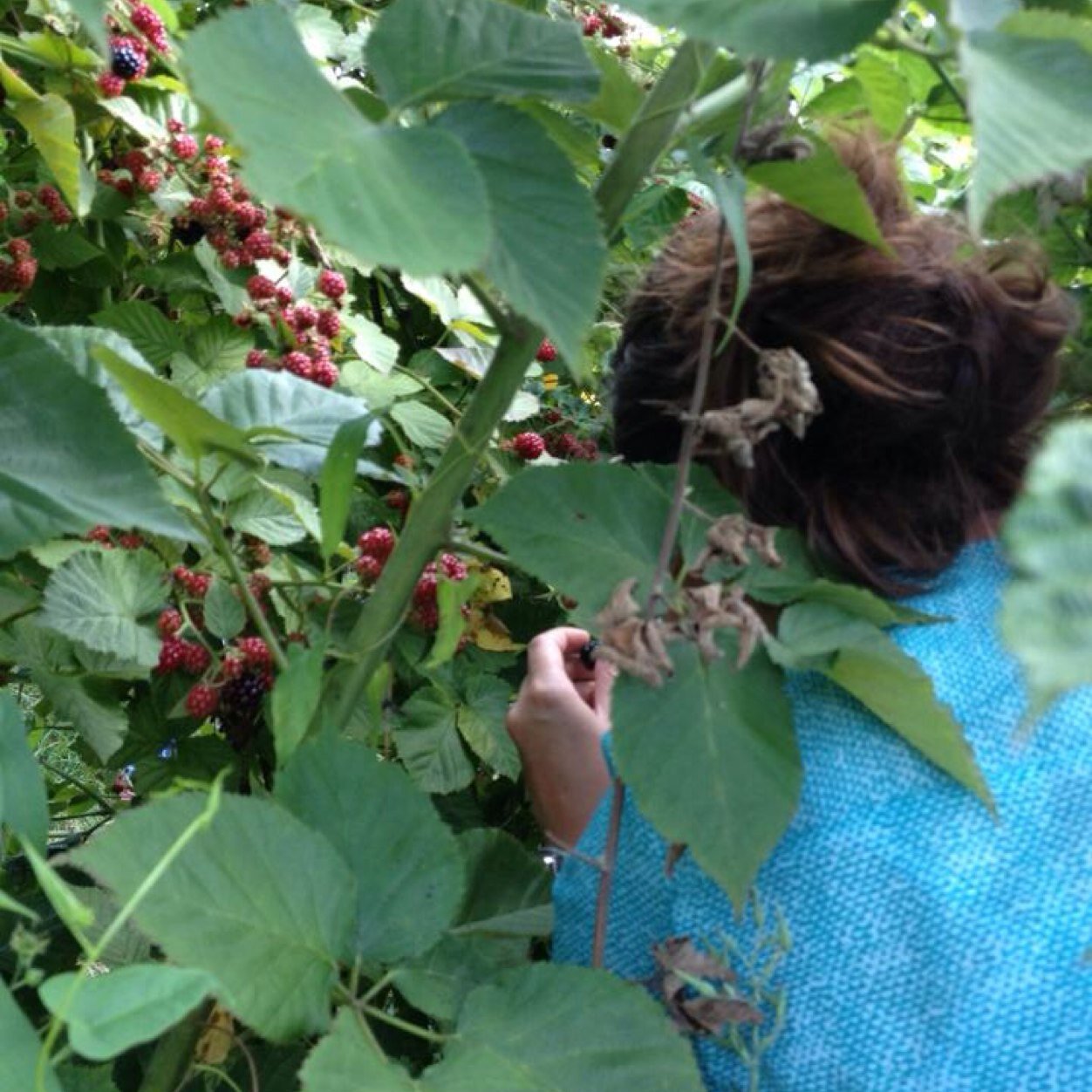 UnsaidMonologue's profile picture. 