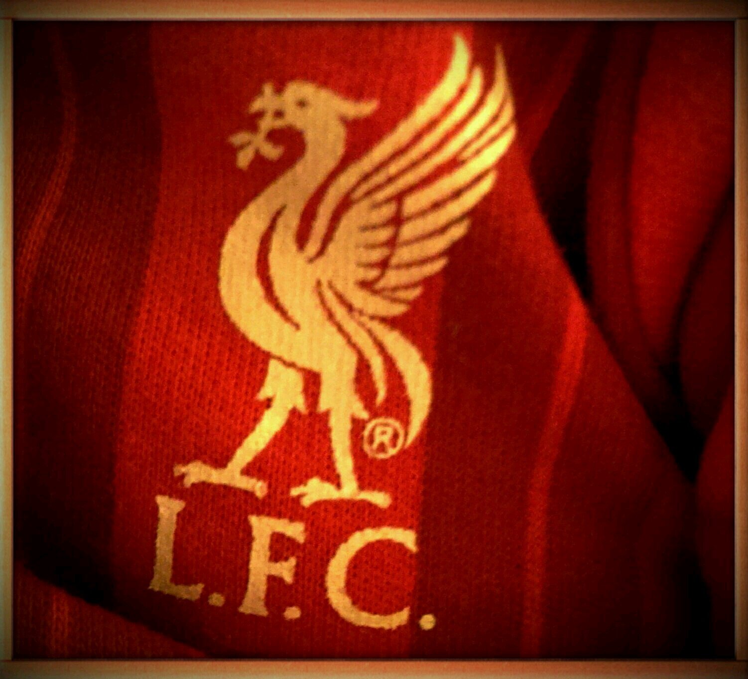 Vann_Kay's profile picture. YNWA