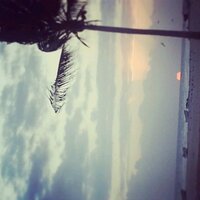 بوسعود المشيخي (@10abd94) 's Twitter Profile
